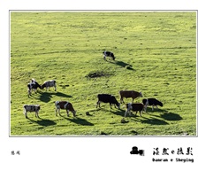 悠闲