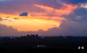城市之光