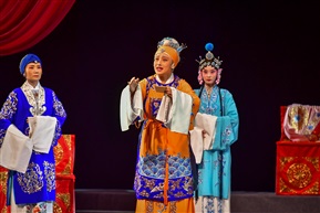扬剧-《百岁挂帅》  (17)