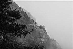 《花径》-只缘身在此山中