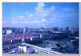 金鹰隔窗之景