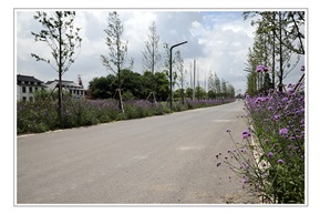 花香小路1