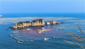 山海奇观