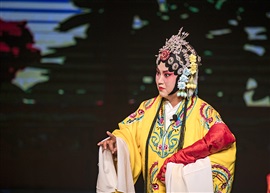 《忠保国》（3）