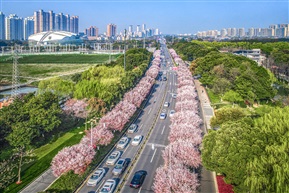 《马鞍山路》