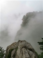 《花径》-只缘身在此山中