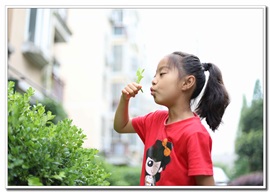 吹吹水球