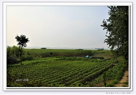 长江边 新农村
