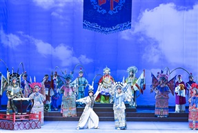 《百岁挂帅5》