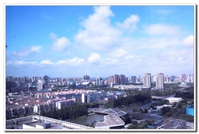 隔窗之景