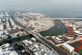 巴城临湖路雪景