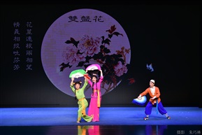 双盘花5