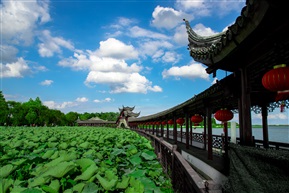 又见锦溪
