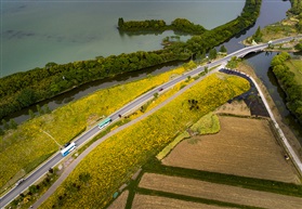 《美丽公路》