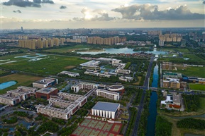 大学城路