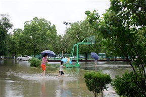 雨中