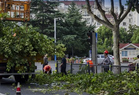 道路美化师们