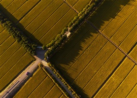 收获路