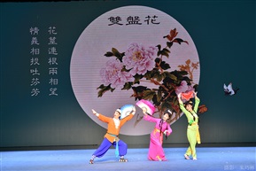 双盘花4