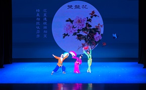 《双盘花》