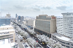 前进东路雪景