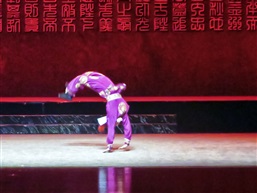 《诸葛亮.临危受命》12