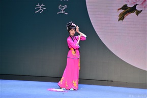 双盘花2