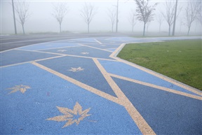 大渔湾道路1