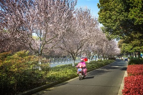 《马鞍山路》3