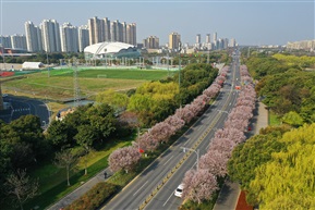 马鞍山景观路