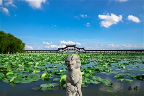 狮与桥