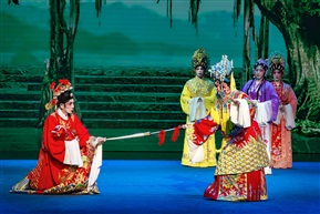 平话师公戏《天姬送子》7