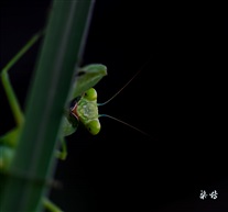 偷窥