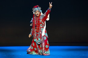 鹩剧《秦英挂帅之西征抗辽 》5