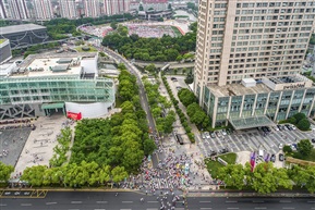 《康乐路》