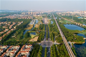 前进西路风光美