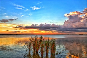 醉美夕阳红