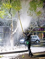 《清雪》2