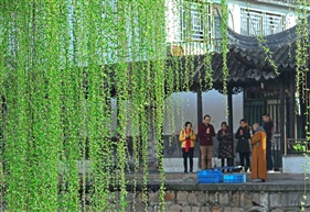 《春帘》组3