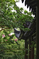 雨中亭林（4）