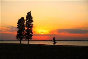 夕阳下