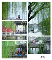 《春帘》组图