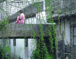 《春帘》组5