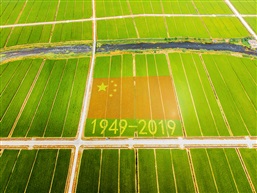 庆祝建国70周年