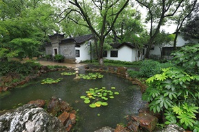 雨中亭林（3）