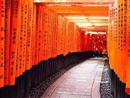 千本鸟居