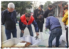 古镇生活~早市1