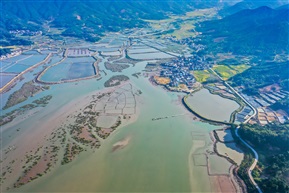 霞浦南湾