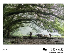 杨家溪