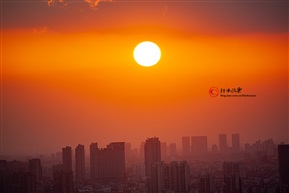 城东望城西